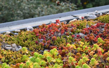 the cost of Luxted green roof installation