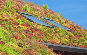 Luxted living roof systems