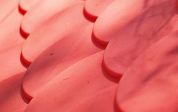 Luxted plastic roof costs