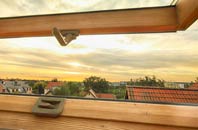 rated Luxted roof window companies
